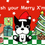 【MAMESUKE実績】クリスマスカード メリークリスマス2012